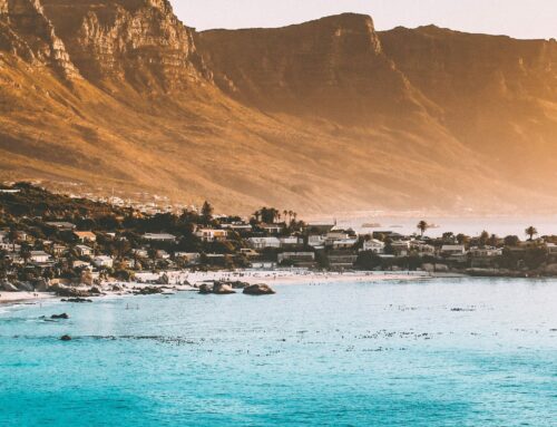 Peak Booking Season: Why Holiday Booking Matters for Spring & Year-End Rentals